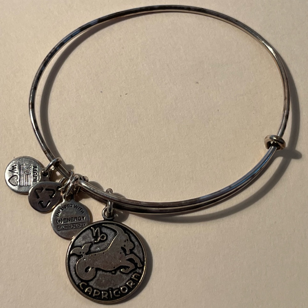 Alex and Ani Capricorn Bracelet